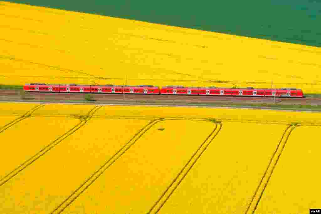 A train makes his way through rapeseed fields in Lemmie, Germany, April 30, 2019. (Julian Stratenschulte/dpa)
