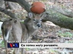 Вести од САД во минута