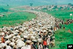 FILE - Tens of thousands of Rwandan refugees, who have been forced by the Tanzanian authorities to return to their country despite fears they will be killed upon their return, stream back towards the Rwandan border on a road in Tanzania, Dec. 19, 1996.