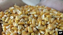 President Donald Trump said on Monday his administration’s proposal to boost the biofuels market next year would bring the amount of corn-based ethanol mixed into the nation’s fuel to about 16 billion gallons.