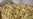 Key Support for US Ethanol Expires