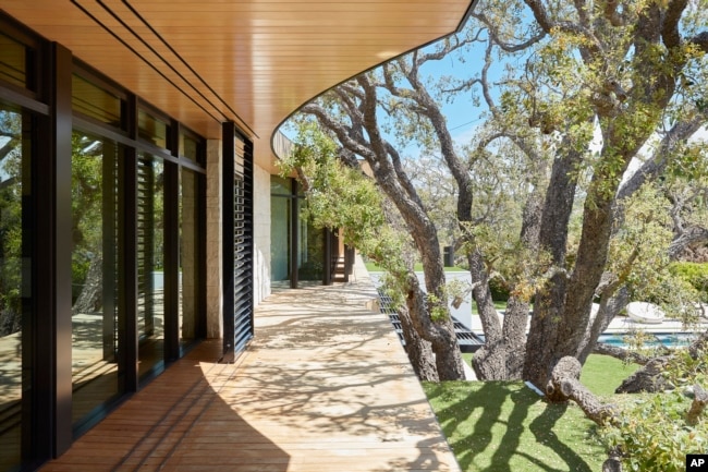 This image provided by KAA Design Group shows their Tree House project in California. The architect convince the owners to feature the old tree in the design of the house. (KAA Design Group via AP)