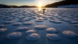 A skater observes pancakes snow on the frozen Lake des Rousses in Les Rousses, central-eastern France, Jan. 1, 2025. 