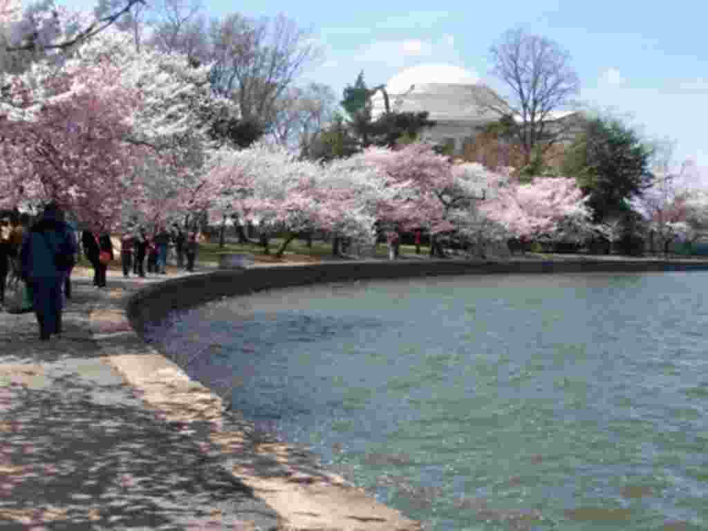 Viajar: Washington DC, la capital