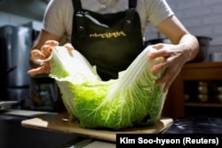 The apprentice of the recognized kimchi grand master, Lee Ha-yeon, prepares a kimchi cabbage in Namyangju, South Korea, August 21, 2024. (REUTERS/Kim Soo-hyeon)