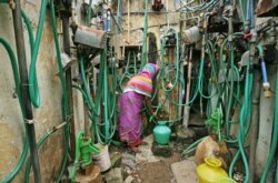 FILE - A woman uses a hand pump to fill up a container with drinking water in Chennai, India, June 25, 2019. (Reuters).