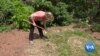 Homeowners Plant Trees to Help With Energy Conservation