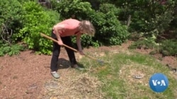 Homeowners Plant Trees to Help with Energy Conservation