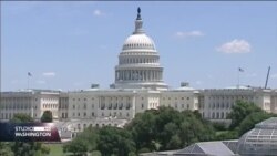Priča o Bosancima i Hercegovcima koji žive u Washingtonu