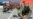 Afghan 'Insider Attack' Wounds 7 US Soldiers