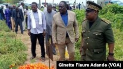 Délégation gouvernementale dans un champs de tomate, le 27 septembre 2019. ( VOA/Ginette Fleure Adande)