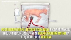 Американские ученые создали искусственную матку