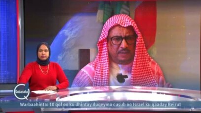 Wareysi aan la yeelanay Faysal Cali Wareebe