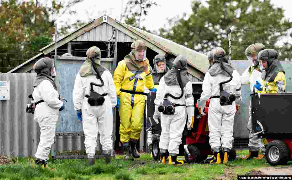 Employees from the Danish Veterinary and Food Administration and the Danish Emergency Management Agency in protective equipment are seen amid the COVID-19 outbreak at a mink farm in Gjoel, North Jutland, Denmark.