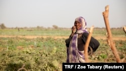 Une femme dans un champ de R’Kiz, région de Trarza, Mauritanie, le 1er avril 2018. 