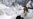 135 People Feared Dead in Pakistani Avalanche
