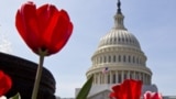 O edifício do Capitólio, em Washington, onde funciona o Congresso dos EUA