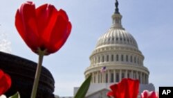 O edifício do Capitólio, em Washington, onde funciona o Congresso dos EUA