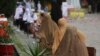 Women wait to receive cash under the governmental emergency cash program for families in need during a government-imposed nationwide lockdown to help contain the spread of the coronavirus in Peshawar, Pakistan, April 9, 2020.