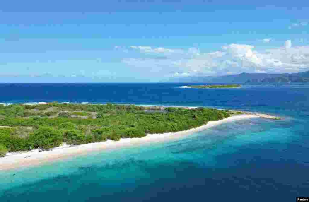 En una playa de Venezuela, una fundación mantiene granjas de corales en el fondo del mar para su conservación y hacerle frente al cambio climático.