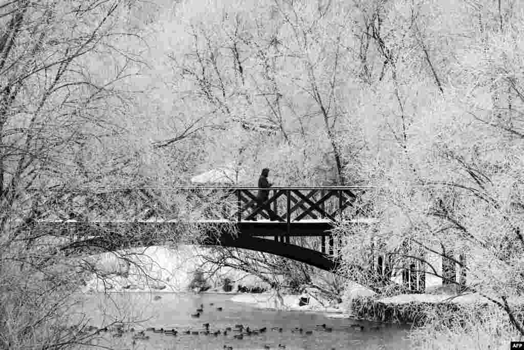 A man walks along a bridge over the Yauza river in front of trees covered with hoarfrost on a cold day in Moscow, Russia.