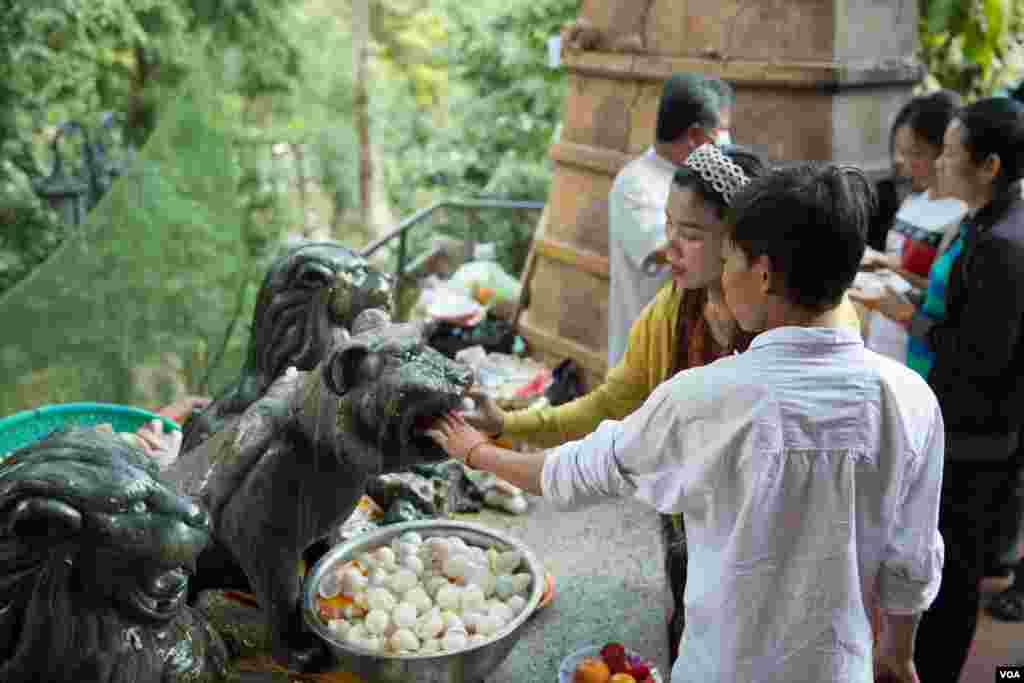 នារី​ម្នាក់​បាន​យក​ពងទា​និង​សាច់​ជ្រូក​បីជាន់​មក​ដាក់​មាត់​ខ្លា​ដើម្បី​រំដោះគ្រោះ និង​សុំសេចក្តីសុខនៅ​វិហារ​ព្រះចៅ​លើ​រមណីយដ្ឋាន​វត្តភ្នំ អំឡុង​ថ្ងៃបុណ្យ​ចូលឆ្នាំ​ចិន វៀតណាម កាលពី​ព្រឹកថ្ងៃទី​០៤ ខែកុម្ភៈ ឆ្នាំ២០១៩។(ទុំ ម្លិះ/VOA)​