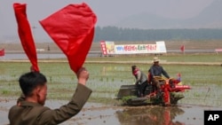 지난 5월 북한 청산리 주민들이 모내기를 하고 있다.