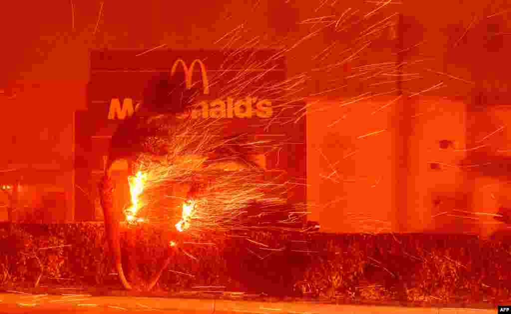 Un restaurante McDonald&#39;s se cubre de brasas durante el incendio en Eaton en Pasadena, California, el 7 de enero de 2025. Un feroz incendio forestal en un suburbio de Los Ángeles devoró edificios y provocó pánico y evacuaciones, mientras vientos con fuerza de huracán azotaban la región. Más de 200 acres (80 hectáreas) ardían en Pacific Palisades, un lugar exclusivo con casas de varios millones de dólares en las montañas de Santa Mónica. Al otro lado de la ciudad, en el extremo norte de Los Ángeles, se desató otro incendio en Eaton Canyon, cerca de Pasadena, que consumió rápidamente 200 acres (81 hectáreas) más tarde en la noche, según los funcionarios del Bosque Nacional de Ángeles.