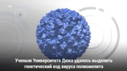 Вирус полиомелита лечит рак мозга