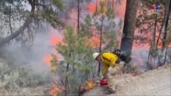 Հրշեջները համակարգված կրակային գործողություններ են իրականացնում Օրեգոն նահանգում՝ փորձելով դանդաղեցնել անտառային հրդեհների տարածումը