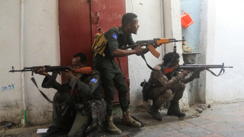 Somali forces kill dozens of militants following attack 