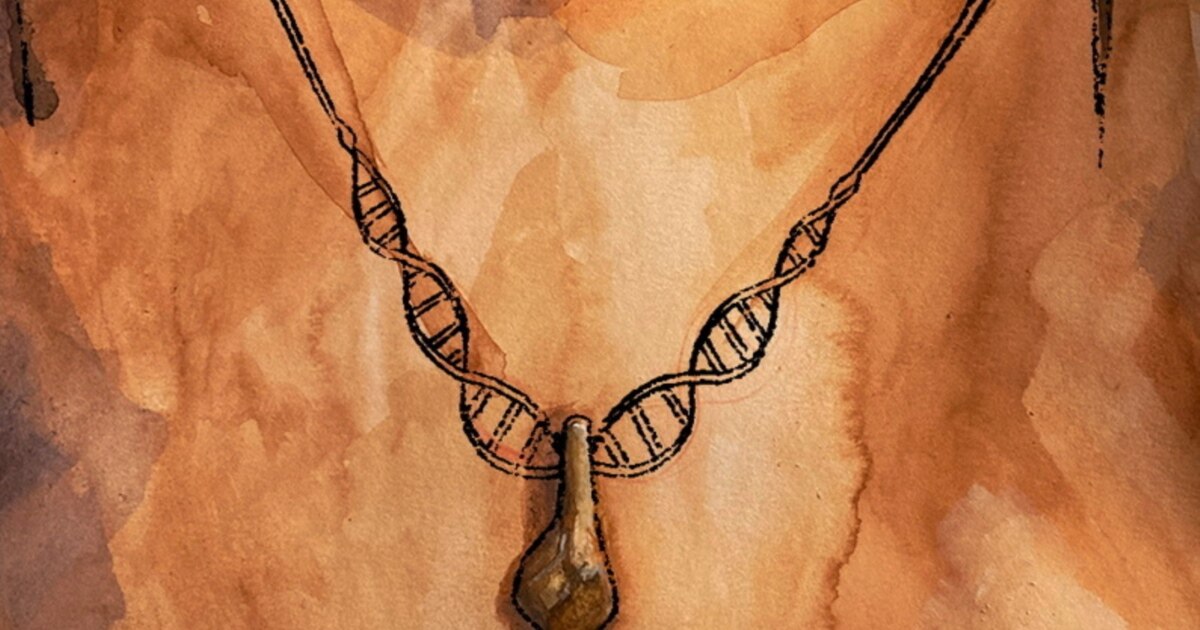 8c9a1743-3237-4ef4-83ef-