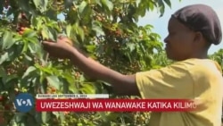 Tanzania: Mkutano wa mfumo wa chakula wahimiza uwezeshaji wa wanawake