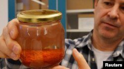 برندن فولی، پژوهشگر، شیشه‌ای حاوی زعفران محفوظ مانده در آب را در دست گرفته است. آزمایشگاه دانشگاه لوند، سوئد - ۲ مارس ۲۰۲۳ (۱۱ اسفند ۱۴۰۱)