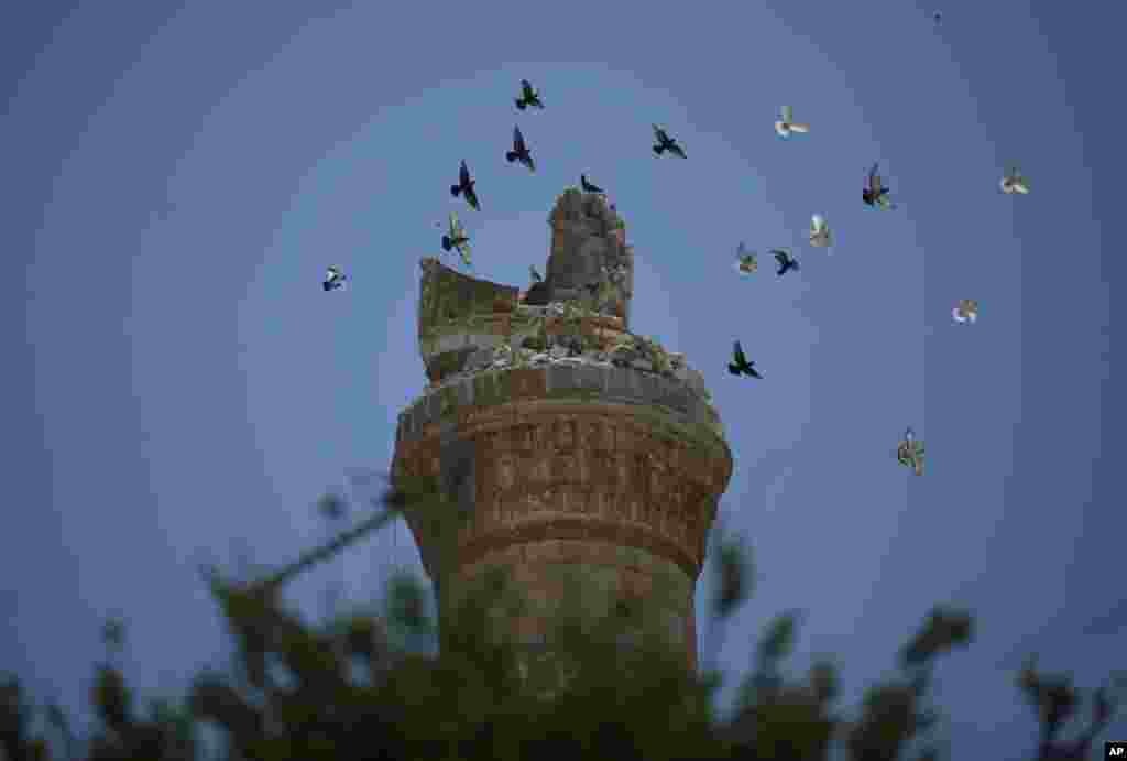 Birds fly over a destroyed minaret of a mosque at the northern town of Ariha, on the outskirts of Idlib, Syria.
