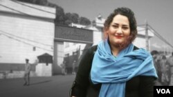 Aktivis HAM Iran, Atena Daemi. (Foto: VOA Persian)