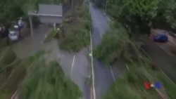 ထူးခြားဆန်းပြားသတင်းများ