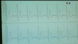 اخبار شامگاهی