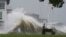 Izulu lesiphepho, uHurricane Ida