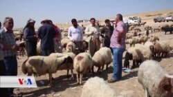 Bazara Pez li Parêzgeha Duhokê di Cenja Qurbanê de