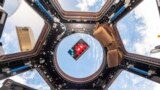 FILE - A mosaic by French artist Invader floats in the International Space Station in 2015. (Samantha Cristoforetti/ESA-NASA via AP)