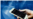 16x9 Image