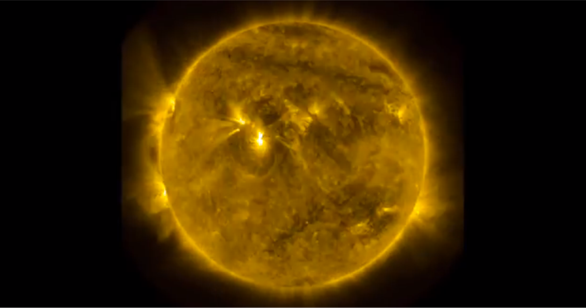 ♡sun♡ 8cd9e358-f640-44cb-81e3-