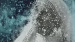 بي بي شیرینه – وي او اې ډيوه په ټیلې ویژن