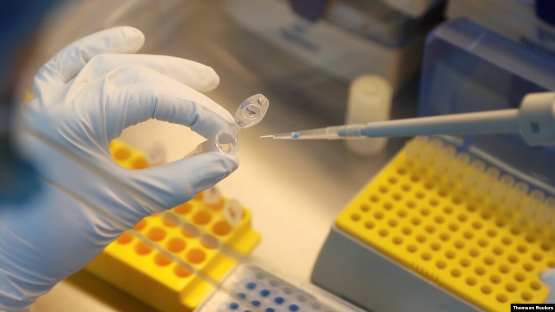 Muchos países del mundo compiten por desarrollar una vacuna segura y efectiva contra el coronavirus. Estados Unidos y Europa buscan comprar por adelantado la producción de una vacuna para sus poblaciones.