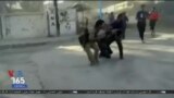 اخبار شبانگاهی