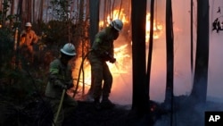 Les sapeurs-pompiers traversent la forêt en feu près du village de Avelar, au centre du Portugal, le 18 juin 2017.