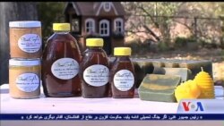 تولیدات عسل خانگی شرکت سویت صوفیا