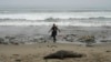 Un hombre pasa junto a un león marino muerto en la playa de Los Delfines, llena de basura, en el distrito de Ventanilla del Callao, Perú, el miércoles 2 de agosto de 2023.