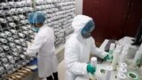 FILE - Medical personnel in protective gear prepare medicine for coronavirus-infected patients, at a pharmacy at Wuhan Tongji Hospital, in Wuhan, China, March 2, 2020. Chinese health officials say a first vaccine should soon be available.